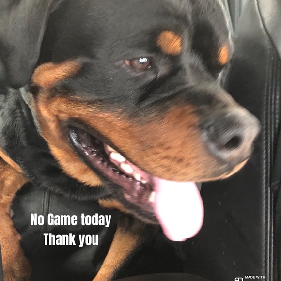 #4 LIKE LISTING #5 Comments Full - Picture 14 of 16